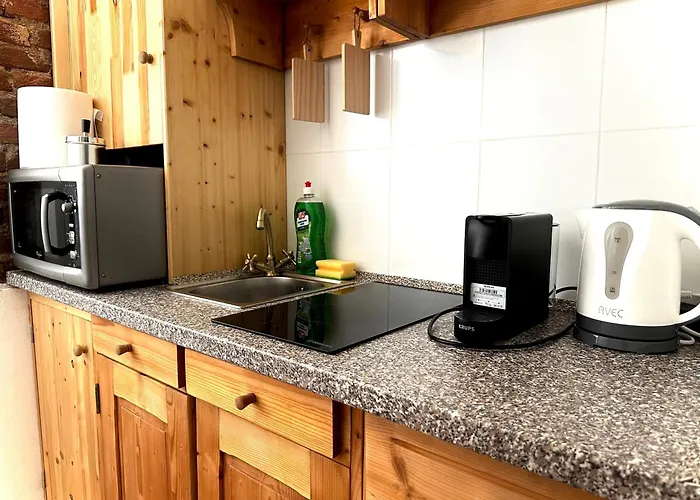 4friendscentrubrasov דירה *